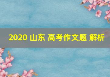 2020 山东 高考作文题 解析